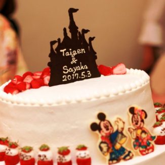 【テーマはディズニー】思い出のプロポーズから繋がった一日