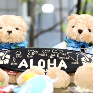 【オリジナル】大好きなハワイアンウエディング